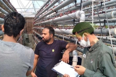 بازدید از گلخانه nft