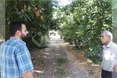 پرسش و پاسخ با کارشناس کشاورزی و باغداری