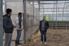 بازدید از به گلخانه کشت خاکی