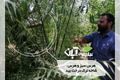 بازدید و مشاوره باغ