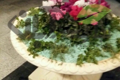 طراحی دیش گاردن