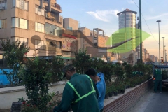 خدمات کاشت گل توسط متخصصان در فضای سبز