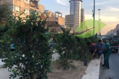 خدمات کاشت و نگهداری گل و گیاه در فضای شهری