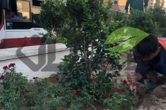کاشت گل در فصل بهار