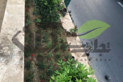 خدمات تعویض خاک گلدان و فضای سبز
