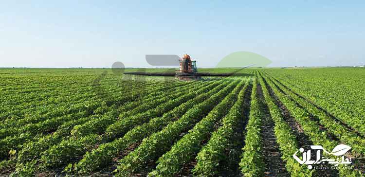 محلول پاشی کود و سم در زمین کشاورزی توسط تراکتور