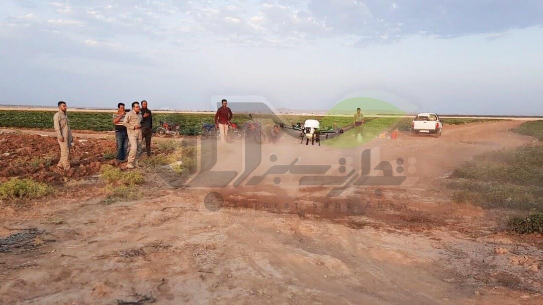 پروژه سمپاشی با پهپاد کشاورزی در قزوین