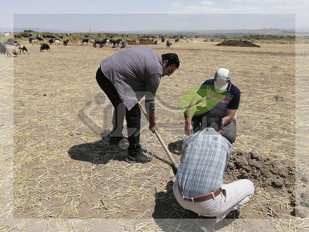 نمونه برداری از خاک زمین