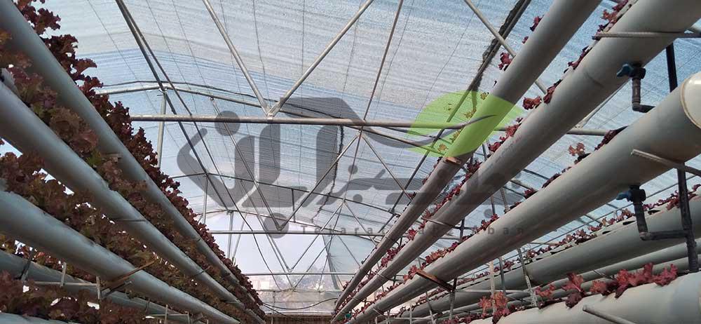 پوشش شید سقف گلخانه