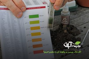 pH خاک چیست و چگونه آن را تنظیم کنیم؟