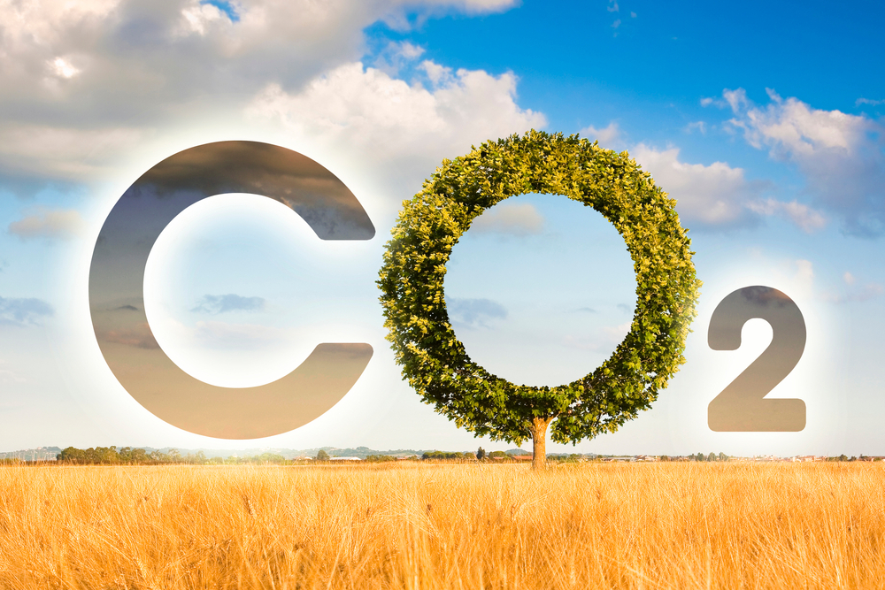 کاربرد دی‌اکسید کربن (CO2) در محیط گلخانه یا اتاق‌ رشد